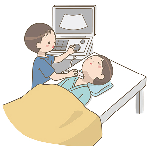 エコー検査イメージ図